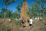 Termitenhgel im Kakadu Nationalpark, ganz im Norden Australiens.