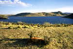 Laguna Umayo beim Titicaca-See