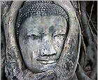 Buddha, Ayyuthaya