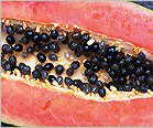 Aufgeschnittene Papaya