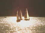 Segelschiffe auf Okanagan Lake am Abend