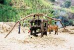 Kapverden: Sao Antao - Aus Zuckerrohr wird Grog