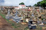 Etwas nördlich von Port Louis kommt man an diesem chinesischen Friedhof vorbei
