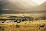 Namibia: Am Brandberg