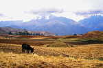 Landschaft mit Esel vor dem Valle Sacrado