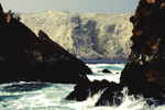 Landschaft mit Humbold-Pinguinen auf den Islas Ballestras