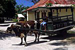 Auf La Dique dienen traditionelle Ochsenkarren als Taxi