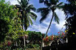 Praslin ist ca. 12 km lang und 5 km breit