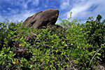 Praslin