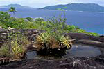Praslin