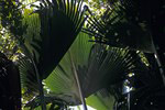Praslin