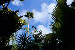 Praslin