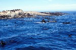 Kapstadt: Robben Island