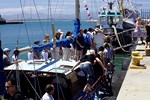 Mossel Bay: Fahrt zur Robben-Insel