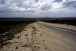 Fahrt in den Addo-Elefanten-Nationalpark