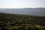 Addo-Elefanten-Nationalpark bei Port Elizabeth
