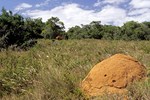 Addo-Elefanten-Nationalpark bei Port Elizabeth