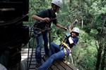 Tsitsikamma: Tree top canopy