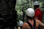 Tsitsikamma: Tree top canopy