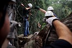 Tsitsikamma: Tree top canopy