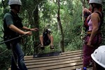 Tsitsikamma: Tree top canopy