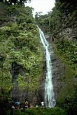 Vahipahi-Wasserfall ist schon von weitem zu sehen.